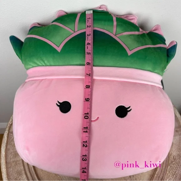 Squishmallows 14” Afiyah the Succulent - Picture 16 of 16